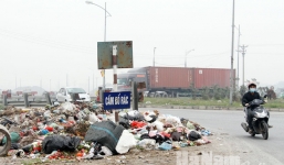 Đáng buồn là hàng ngày tôi đều nhìn thấy nhiều người Việt 'mù chữ'