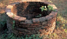 Phát hiện thi thể bé gái 18 ngày tuổi dưới giếng nước