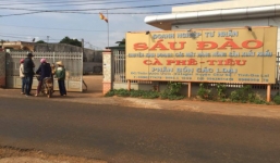 Vỡ nợ hơn 50 tỷ, nữ chủ doanh nghiệp bỏ trốn trong đêm