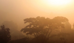 Nếu lượng CO2 tiếp tục tăng, Trái Đất sẽ quay trở về kỷ Trias - là lúc những con khủng long đầu tiên xuất hiện