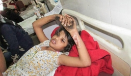 Người đàn ông đến nhận 'cô bé rừng xanh sống chung với khỉ' là cháu gái