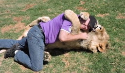 Video: Thót tim cảnh du khách liều mạng vật nhau với sư tử 