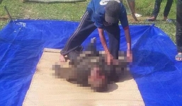 Nghệ An: Phát hiện thi thể người đàn ông đang phân hủy dưới mương nước