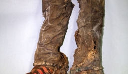 Giải đáp bí ẩn xung quanh việc xác ướp nghìn năm tuổi đi giày Adidas