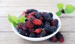 Tác dụng chữa bệnh kỳ diệu của quả dâu tằm