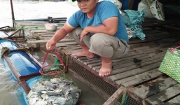 Video: Cần thủ giật cá 'mỏi tay' vì câu trúng ổ chim trắng