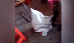 Video: Bé gái bị bà nội nhét vào bao tải, đánh đập tàn nhẫn