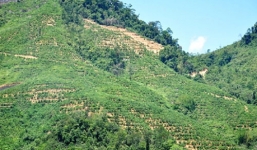 Phát hiện thi thể người phụ nữ váy lật ngược, bị trói tay chân trên đồi vắng