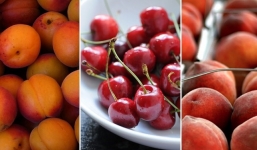 Cẩn trọng khi ăn những loại thực phẩm này nếu không muốn tử vong