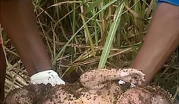 Bé sơ sinh sống sót kỳ diệu sau 3 ngày bị mẹ đẻ chôn sống