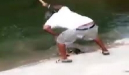 Người đàn ông dùng búa đập chết rùa gây phẫn nộ