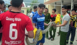 Cảnh sát bắt được trăn đất nặng 15 kg