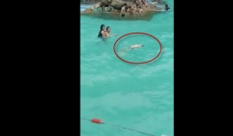 Bé trai đuối nước giữa bể bơi, hằng trăm người nhìn thấy nhưng không ai cứu