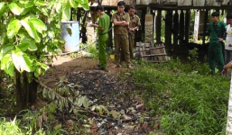 Nghi ngáo đá, nam thanh niên dùng dầu hỏa tự thiêu