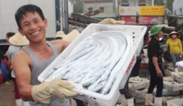 Ngư dân Nghệ An trúng mẻ cá hơn 1 tỷ đồng