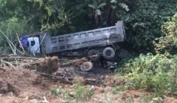 Xe tải mất phanh, tông chết đàn trâu trước khi rơi xuống vực