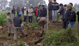 Sét đánh trong lúc đào huyệt, 5 người thương vong