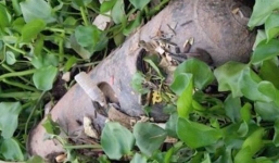 Người dân đánh cá kéo được quả bom nặng 400kg, dài 2 mét