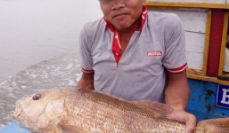 Ngư dân bắt được cá hơn 7kg, nghi là sủ vàng