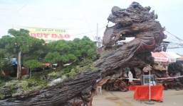 Chậu cây 'Thiên Long lạc cảnh' độc nhất vô nhị giá hàng chục tỷ đồng