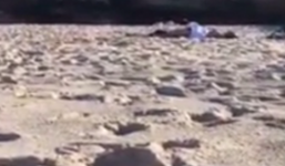 Phẫn nộ cặp đôi thản nhiên 'quan hệ' trên bãi biển