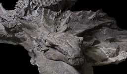 Phát hiện hóa thạch khủng long nguyên vẹn sau gần 110 triệu năm