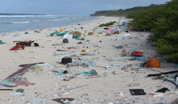 Video: Cận cảnh hòn đảo hoang ô nhiễm nhất thế giới