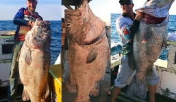 'Quái vật' khổng lồ 70kg khiến cần câu điện phát nổ