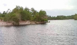 Đi hái lá tràm, hai phụ nữ chết đuối thương tâm