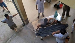 6 người trong gia đình nguy kịch vì ăn nấm lạ trong rừng