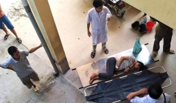 Nghệ An: Ngộ độc nấm, gia đình 6 người nguy kịch