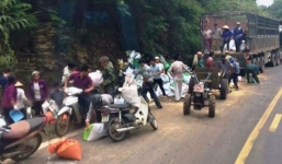 Kết luận chính thức vụ “hôi cám” sau tai nạn chết người tại Hòa Bình