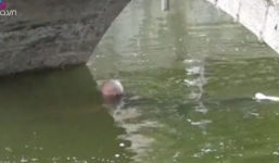 Bi hài người đàn ông đau khổ nhảy xuống sông tự tử nhưng nước... chỉ lên đến ngực