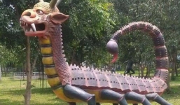 Con rồng 'biến đổi gen' xuất hiện, khiến dân mạng đau đầu tìm tên