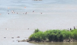 Phú Yên: Tìm thấy 3 thi thể học sinh bị lũ cuốn trên sông Ba