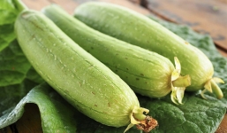 Công dụng chữa bệnh tuyệt vời của quả mướp