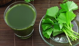 Dùng rau má sai cách, bạn sẽ nhận những tác hại không lường