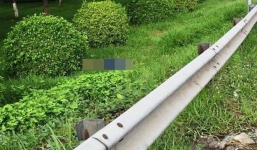 Phát hiện cô gái trẻ tử vong bất thường trong công viên ven quốc lộ 1