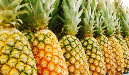 Dứa và những sai lầm khi ăn khiến bạn bị ngộ độc, dị ứng