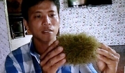 Phát hiện vật thể lạ nghi  'cát lợn' quý hiếm