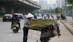 Hà Nội sẽ cấm bày bán hoa quả trên vỉa hè, bán rong trên đường