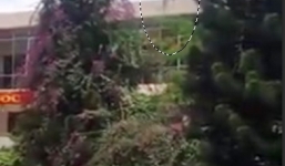 Thực hư clip người nhảy từ nóc nhà trụ sở CA xuống đất tử vong ở Lâm Đồng