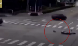 Chủ bị đụng xe, chó chạy theo chặn đầu ô tô gây tai nạn