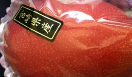 Quả xoài 1,7 triệu, vải thiều 400 ngàn/12 quả: Xót lòng dân Việt