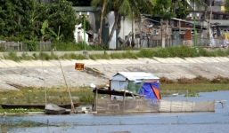 Bất ngờ trước việc người dân nuôi lợn, chăn vịt tại hồ sinh thái giữa Thủ đô
