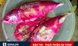 Thủ phạm nguy hiểm làm thịt, cá đổi màu: Gây viêm phổi, nhiễm trùng huyết, viêm màng não