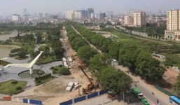 Di dời, chặt hạ 1.300 cây xanh: Bí thư Hà Nội nói gì?