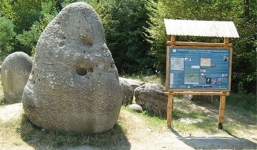 Hy hữu loại đá kỳ lạ tự phình to sau mỗi trận mưa