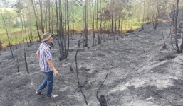 Vụ cháy rừng ở Sóc Sơn: Nghi vấn có người đốt rừng