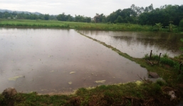 Bị sét đánh tử vong khi đang làm đồng